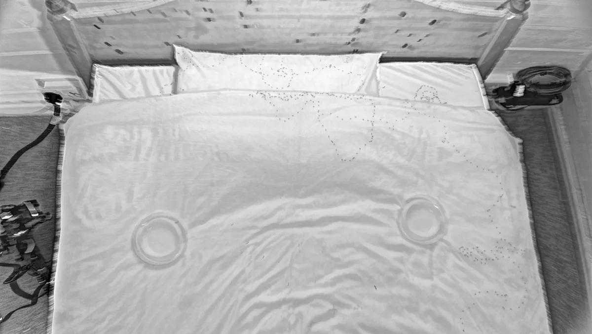 The bed after a night without ExHale: a single bed bug's track across the duvet.
